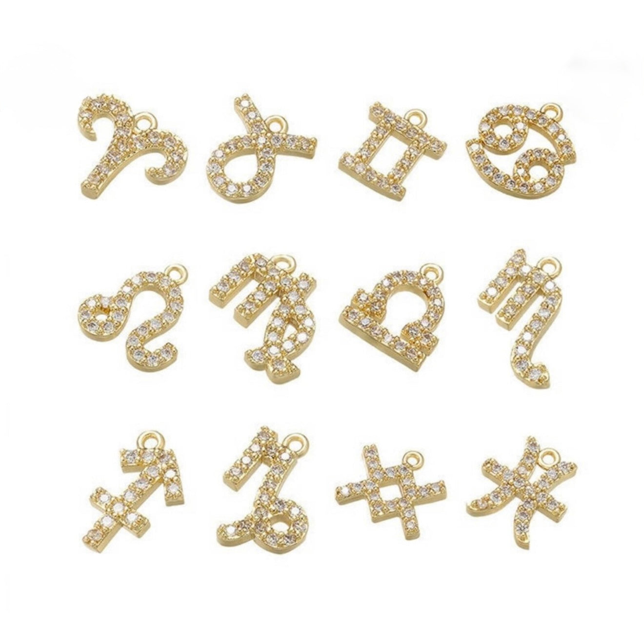 Zodiac Signs and Symbols Charms