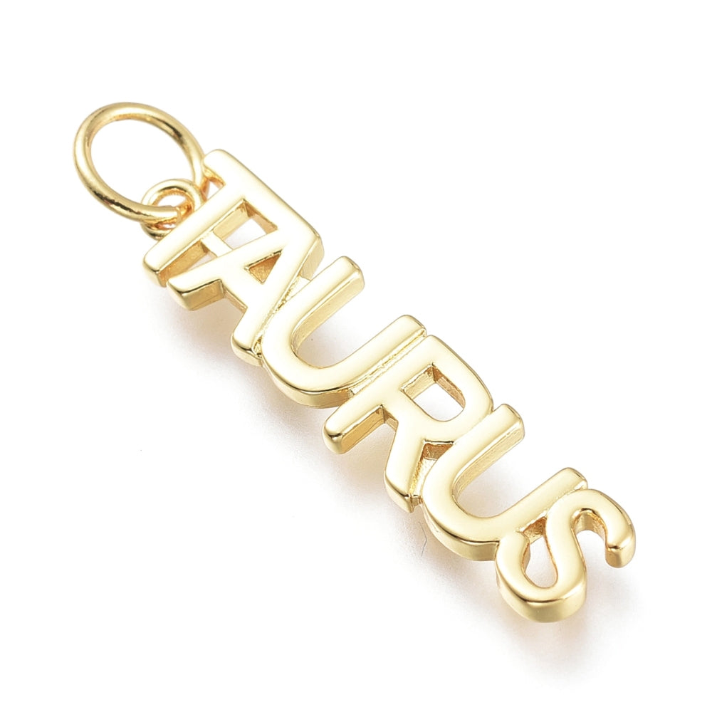 Zodiac Signs and Symbols Charms