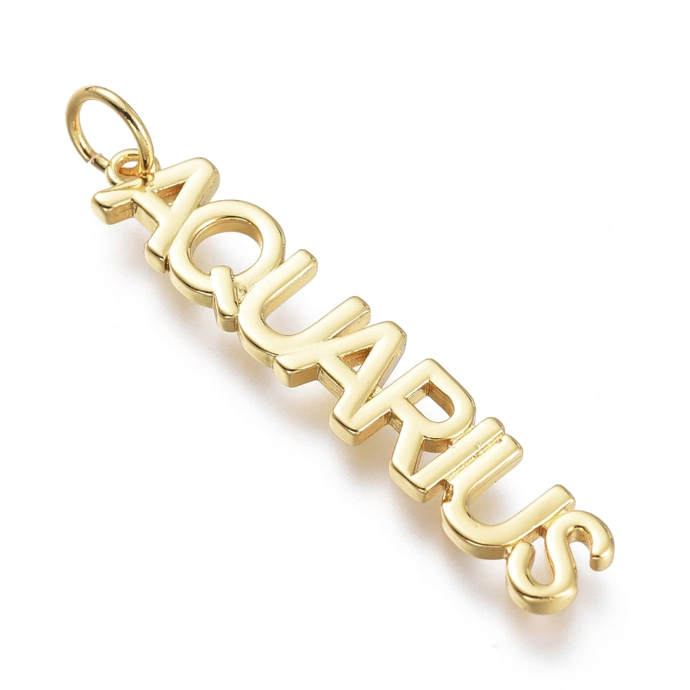 Zodiac Signs and Symbols Charms