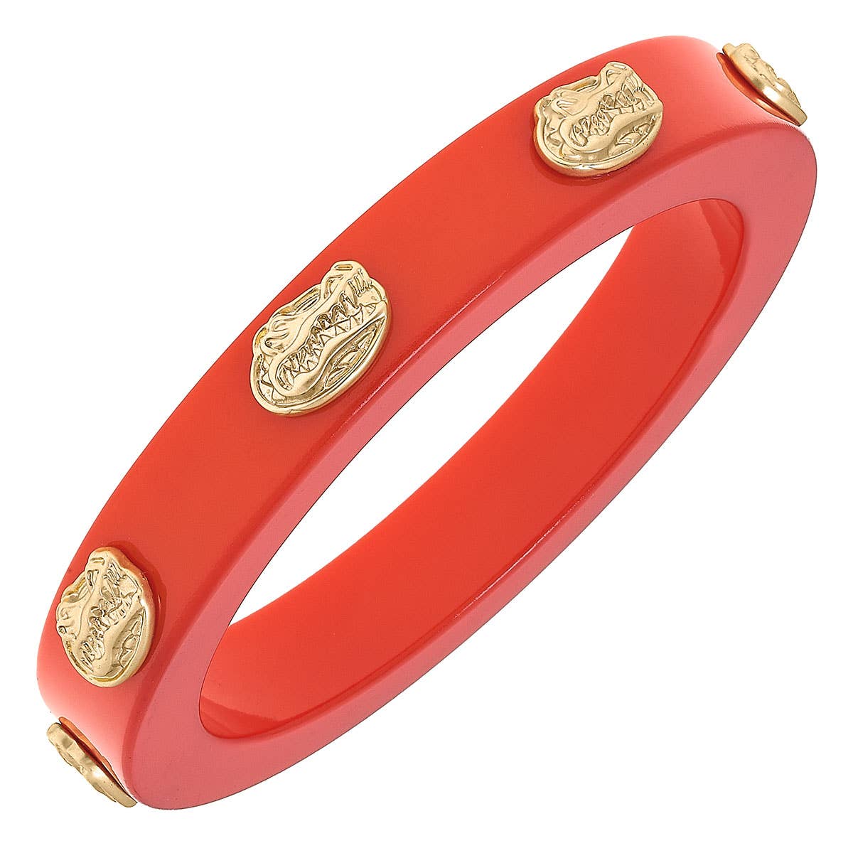 Gator Color Inspired Resin Bangle