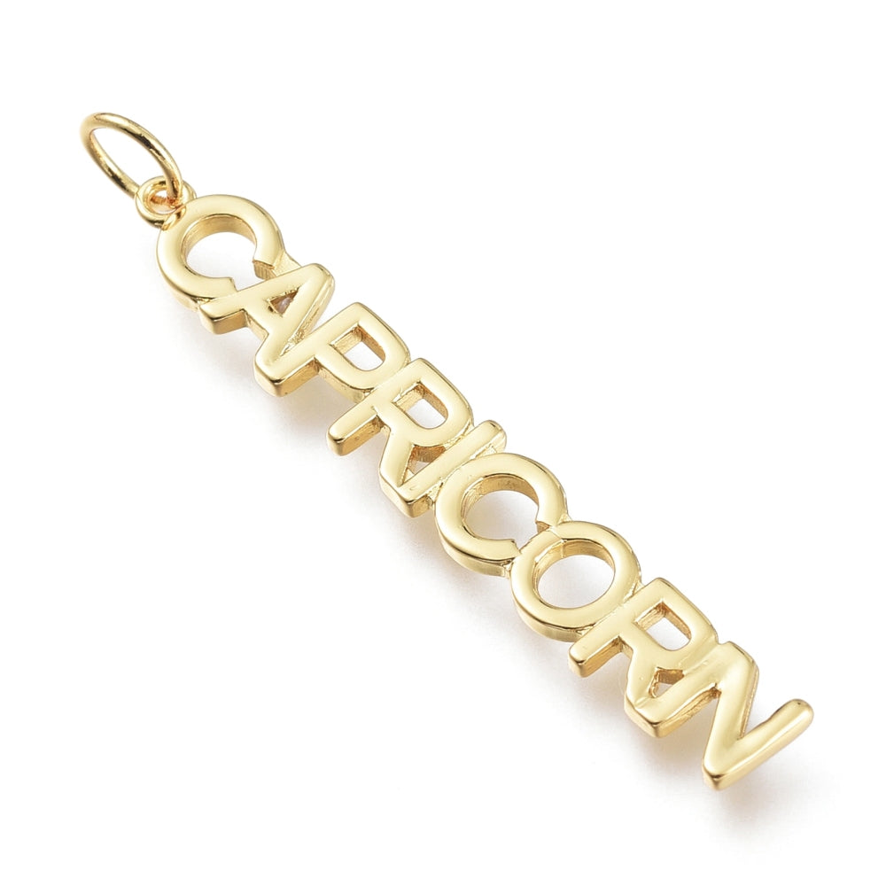 Zodiac Signs and Symbols Charms