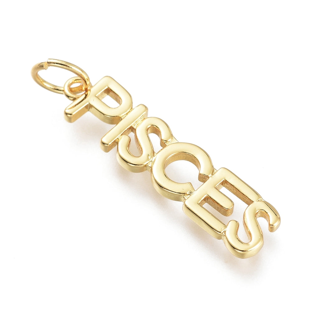 Zodiac Signs and Symbols Charms