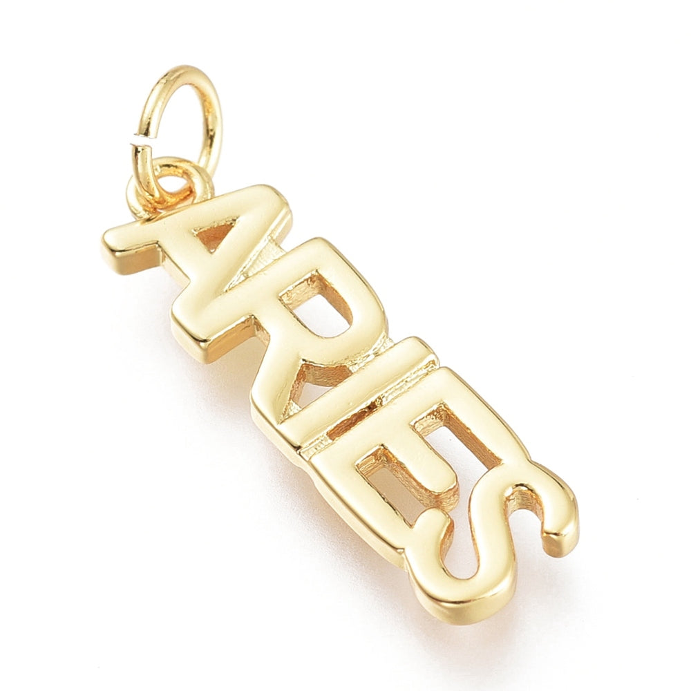 Zodiac Signs and Symbols Charms