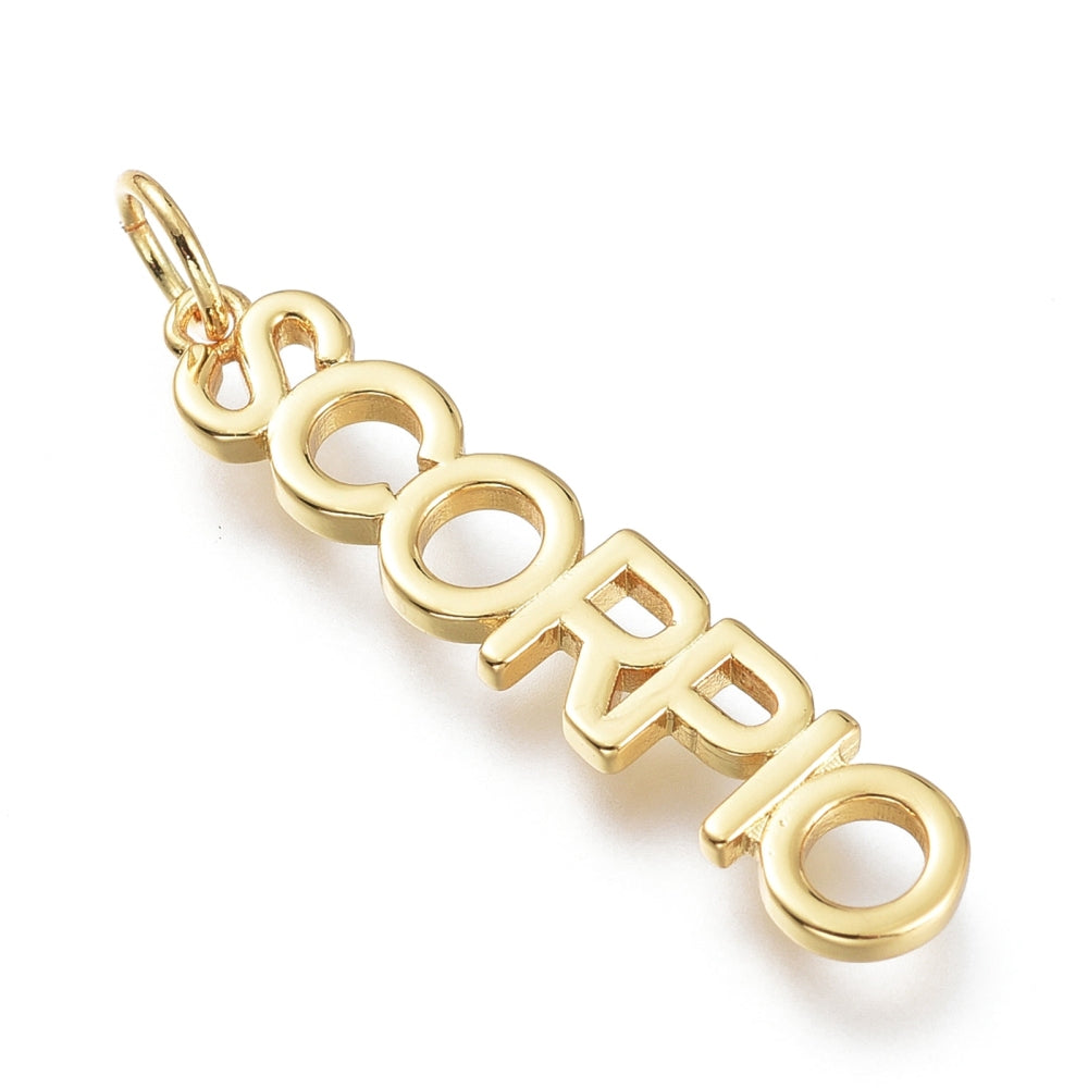Zodiac Signs and Symbols Charms