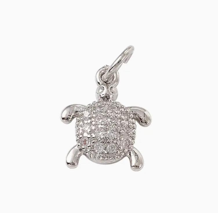 Silver Charms Collection