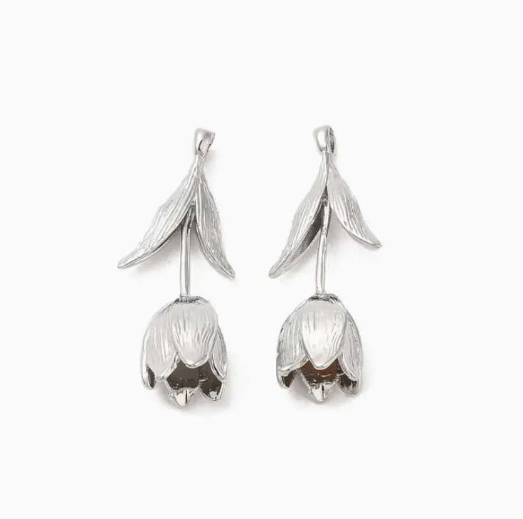 Silver Charms Collection