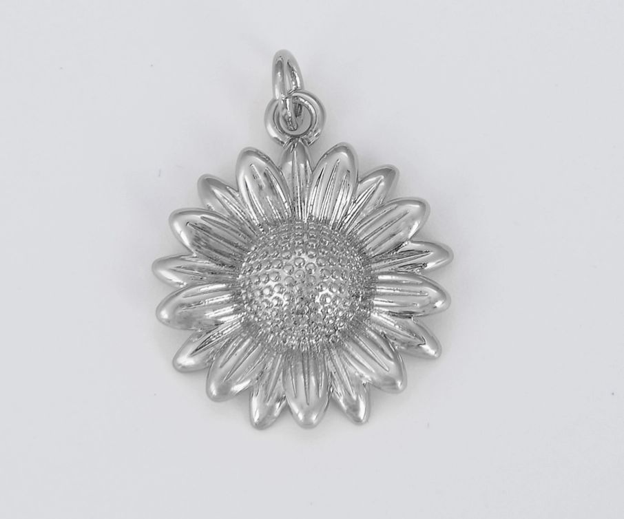 Silver Charms Collection