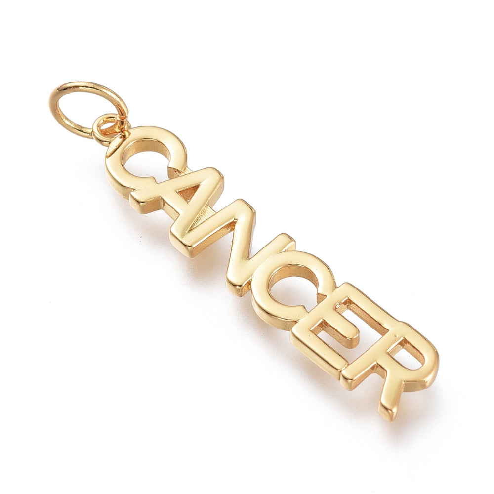 Zodiac Signs and Symbols Charms